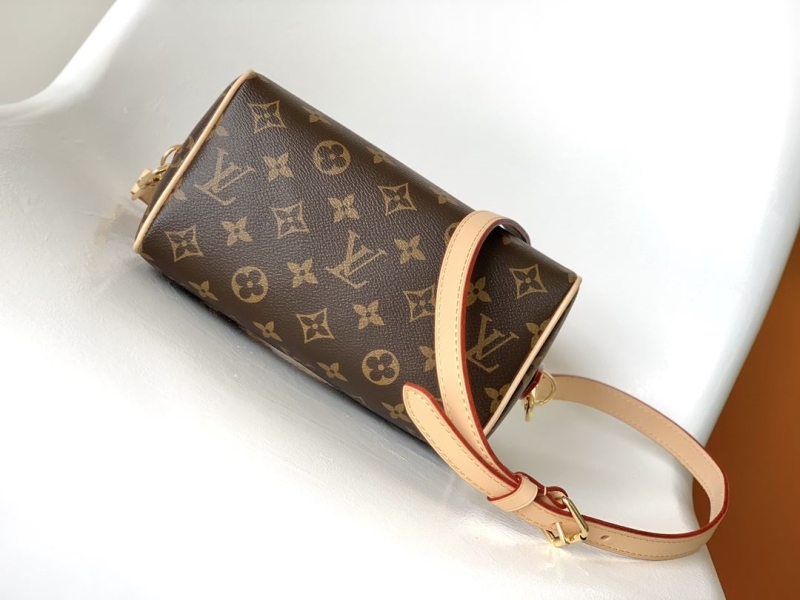 LV Speedy Bags